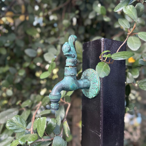 Robinetteries en laiton BangQi Animal : Là où la fantaisie rencontre l'émerveillement